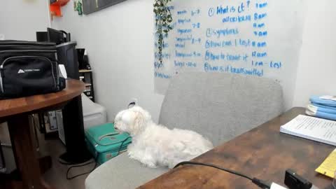 Snapshot of julesmedstudent chatting on March 20, 5:40 pm Jules online show from March 20, 5:40 pm