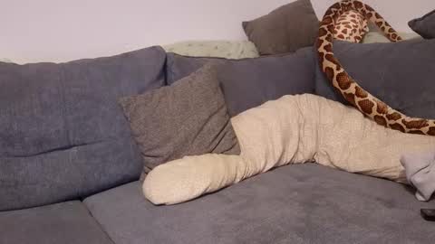 julia_official online show from November 11, 10:21 pm