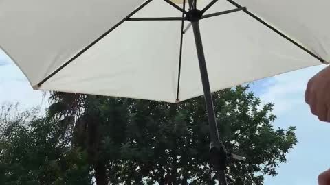 Snapshot of julie_joyride chatting on September 19, 1:45 pm Julie and TheAverageGuy aka Max online show from September 19, 1:45 pm