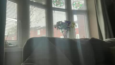 Junky online show from April 21, 7:14 am