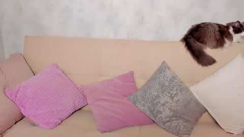 Alex Alexandra online show from June 24, 1:15 am