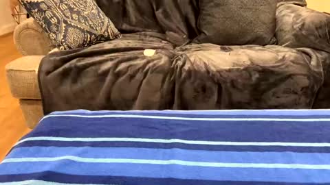 Snapshot of just_ur_avg_cpl chatting on February 17, 12:32 am justuravgdad justuravgmom online show from February 17, 12:32 am