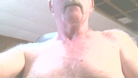 justdon online show from June 15, 2:41 pm