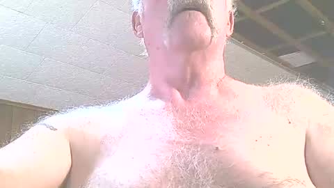 justdon online show from June 24, 3:33 pm