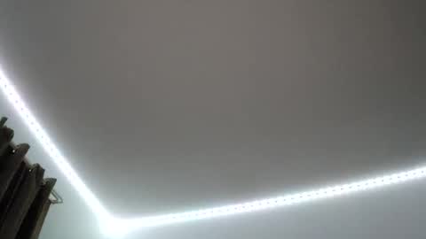 justsetfree online show from November 29, 9:34 am