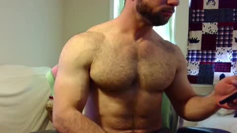 Wolf online show from February 14, 2:54 pm