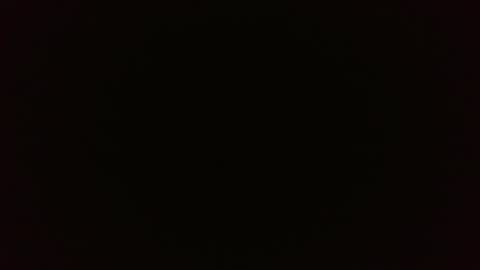 Wolf online show from February 26, 3:52 pm