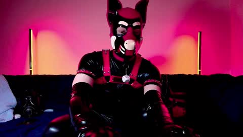 Snapshot of k9_goodboy chatting on February 25, 7:12 pm Alex online show from February 25, 7:12 pm