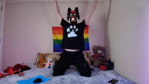 Alex online show from April 15, 5:20 pm