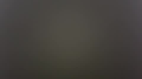 Snapshot of kailaxxxkandy chatting on October 30, 8:49 am Anime Goth Kaila Kitty Kandy online show from October 30, 8:49 am