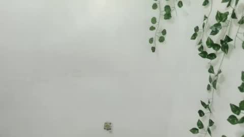 Chenny online show from December 14, 6:01 pm