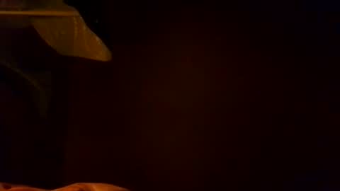 Karla Gonzaless online show from November 4, 6:56 am