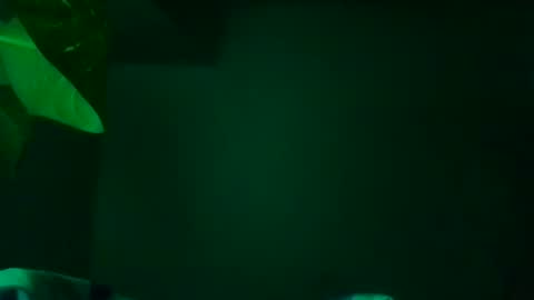 Karla Gonzaless online show from November 13, 7:29 am