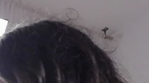 Help me with rate thanks  online show from December 12, 8:47 am