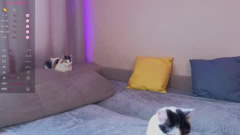 Katerina online show from January 30, 5:52 am