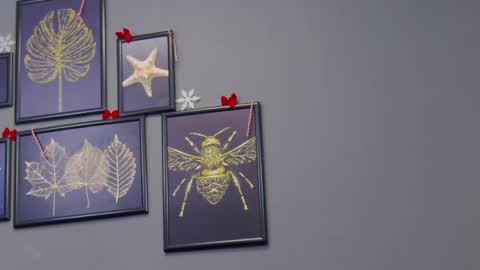 Kate online show from December 17, 12:23 am