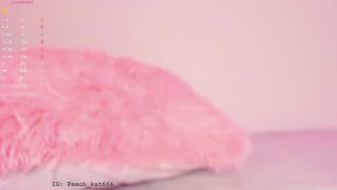 Katy  IGPeach kat666 online show from January 16, 3:35 pm