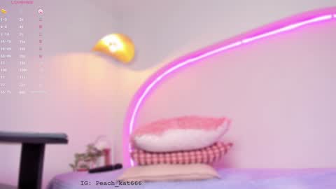 Katy  IGPeach kat666 online show from January 22, 3:40 pm