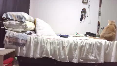 Snapshot of kawit1 chatting on October 29, 12:07 pm Khawit online show from October 29, 12:07 pm