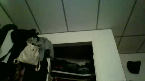 kaylee kakes online show from March 9, 6:56 pm