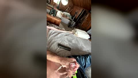 kckc40000 online show from January 14, 7:19 pm