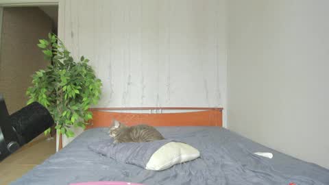 kelly_gerzikaaa online show from April 6, 4:46 am