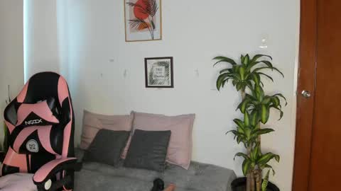  01  online show from November 23, 1:22 pm