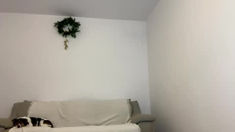 Kenna next time online - 2nd of Dec online show from January 15, 12:04 pm