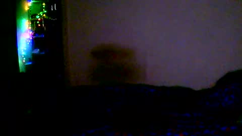kev online show from February 15, 12:07 am