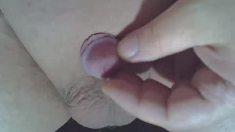 maggot online show from November 15, 1:47 am