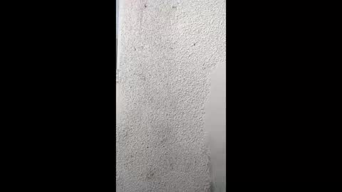 Khushipussy online show from April 7, 2:28 pm