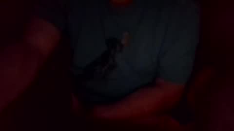 jesse444 cum show online show from September 20, 10:49 am