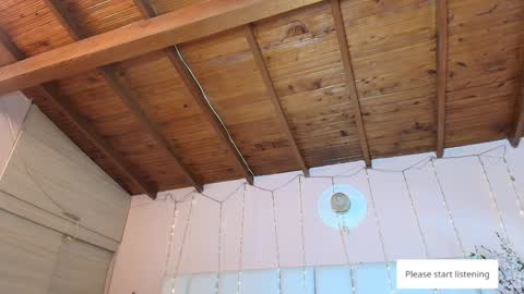    N         M online show from January 27, 11:32 am