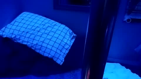 kikilovespartylights online show from March 28, 7:19 am