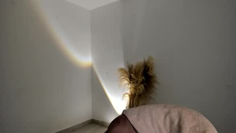 Kim Murphy online show from November 18, 12:31 pm