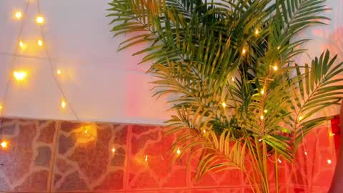 kimberly gonzalez online show from January 17, 3:45 am