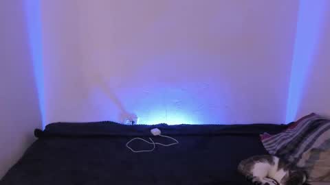 Snapshot of kimblair_ chatting on December 16, 9:47 am Kim online show from December 16, 9:47 am