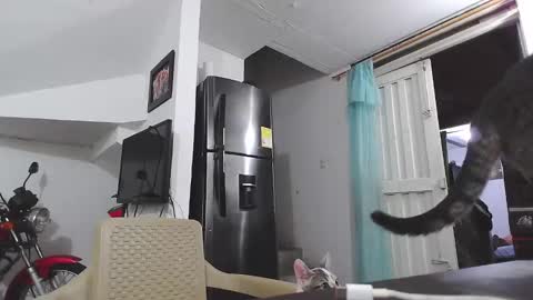 king_russo online show from January 17, 3:12 am