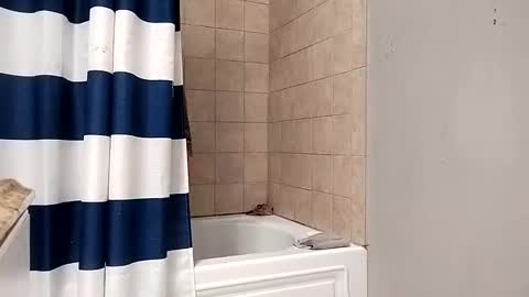 Snapshot of kingdongkonglong chatting on January 21, 5:05 am kingdongkonglong online show from January 21, 5:05 am