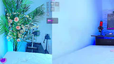    online show from November 12, 12:11 am