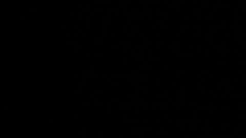 M A R A  online show from December 5, 12:19 am