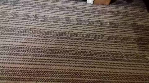 kis4kum online show from April 21, 10:21 am