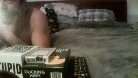 KittenKatch online show from November 29, 8:28 am