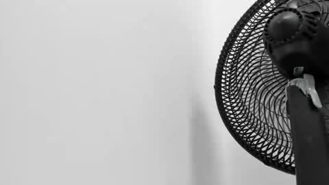 Kitty Dream01 online show from March 7, 7:00 pm