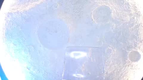 K L O E online show from September 15, 12:05 pm