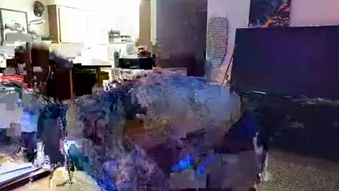 Knox Wilder online show from November 30, 5:55 am