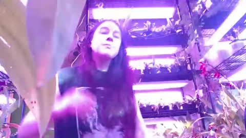 krookedorchid online show from November 1, 2:52 pm