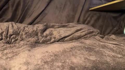 kylevandick online show from April 11, 11:58 am