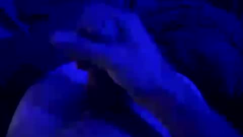 kyool online show from July 25, 8:34 am