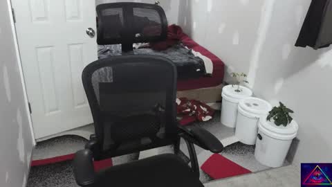 l1v1nth3dr3am online show from November 10, 9:41 am